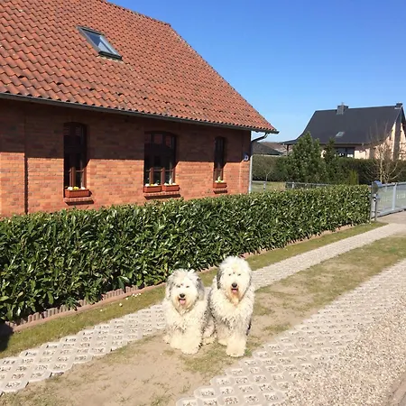 Gemuetliches In Godow Mit Terrasse Holiday home